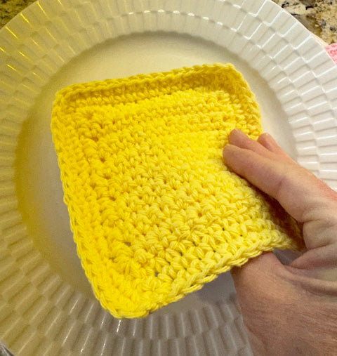 Dish Cloth